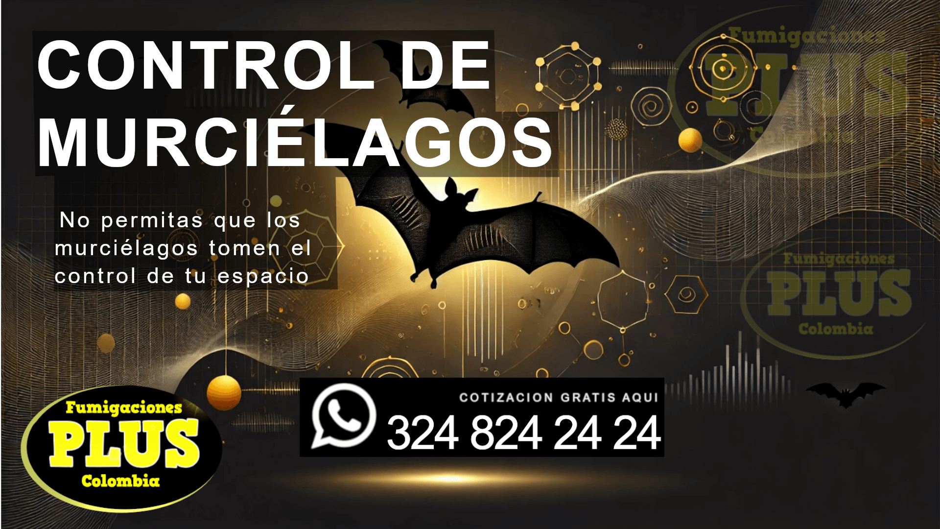 servicio profesional de control de murciélagos
